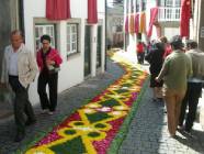 Click para ver a foto maior